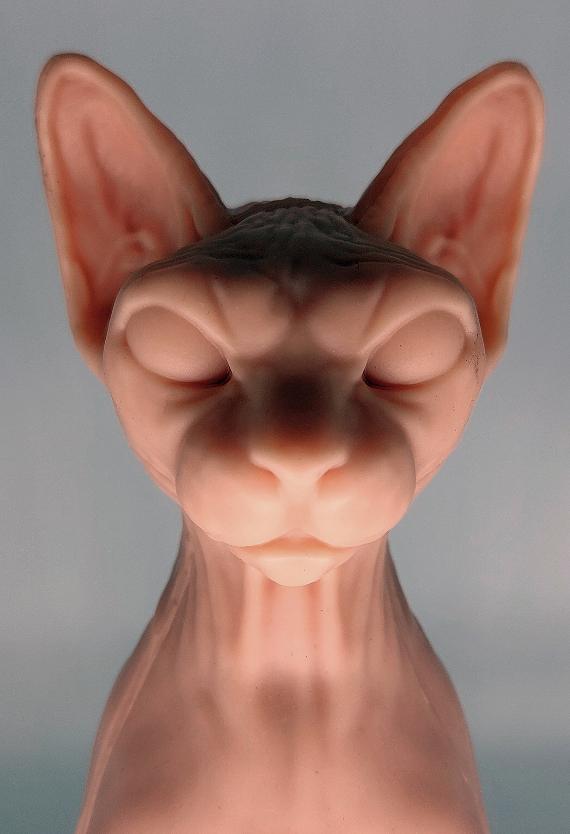 silicone cat with dramatic shadow lighting