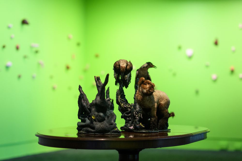 Angela Singer Rabbit Angela Singer: Second Sight | The Dowse Art Museum
