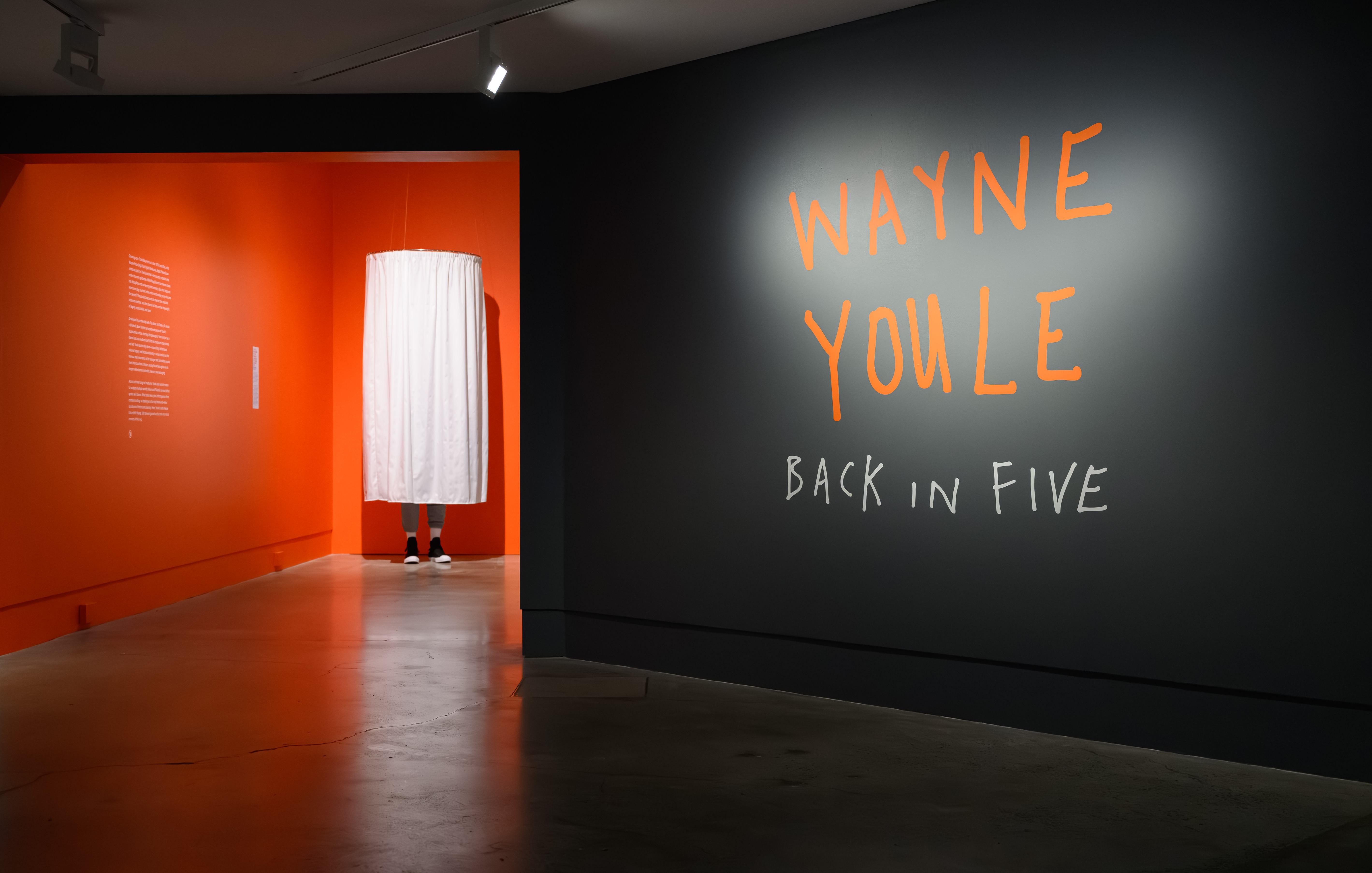 Entry to Wayne Youle Back in Five exhibition at The Dowse