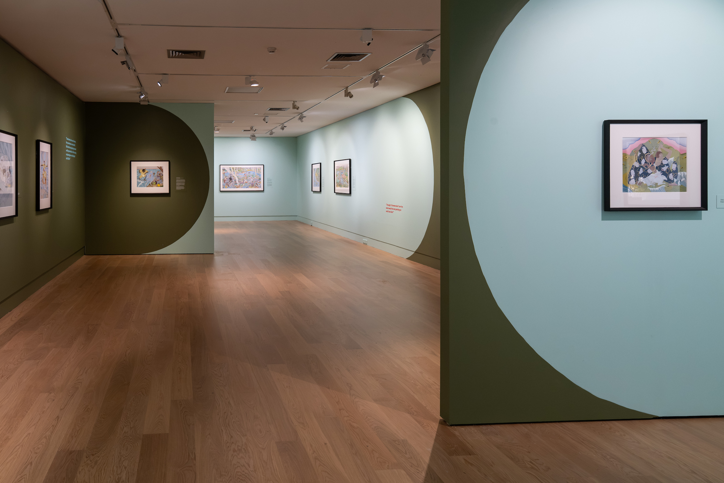 Install view of Kushana Bush: Pobblebonk at The Dowse Art Museum, 2026.