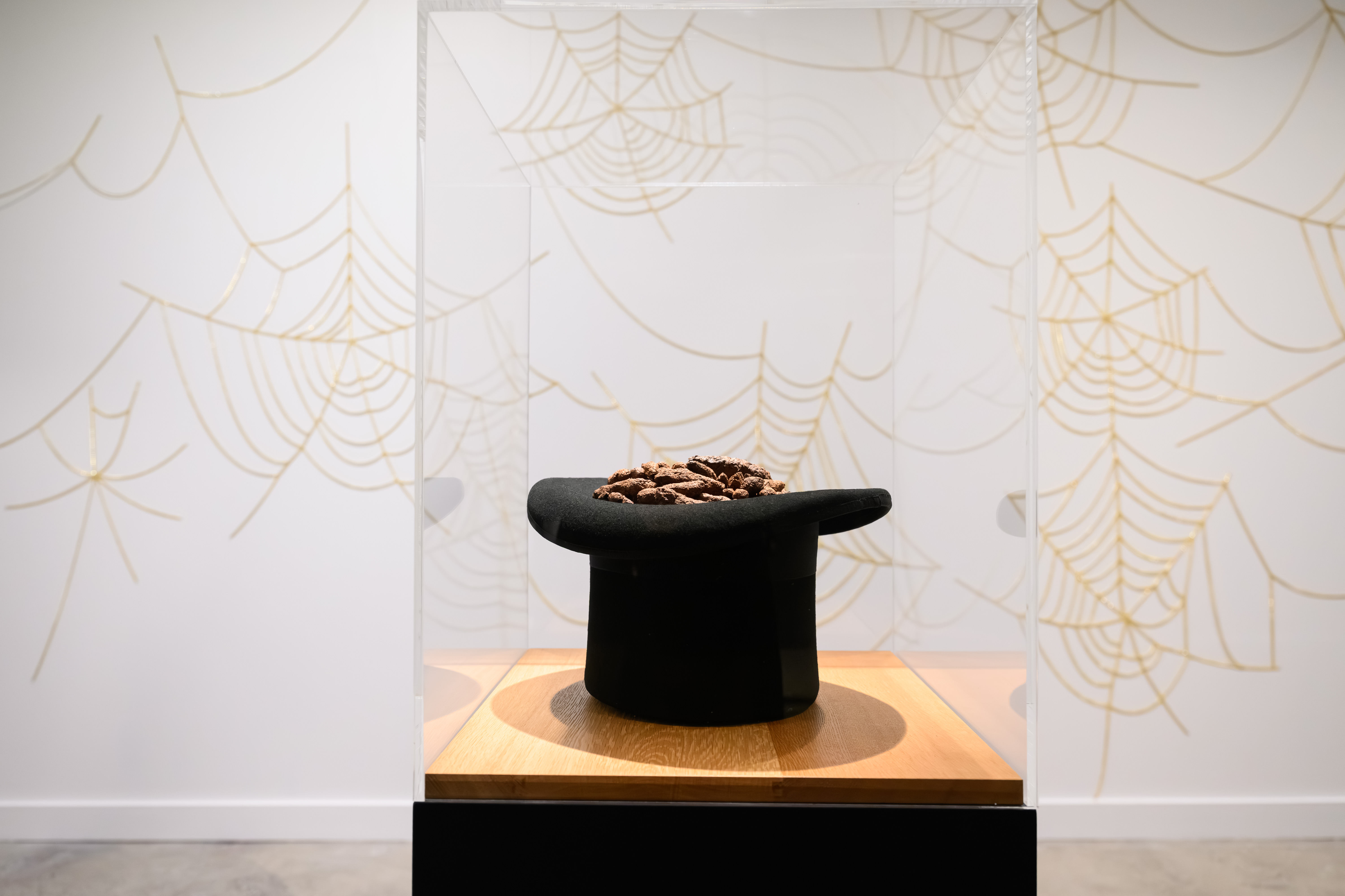 Install view of top hat with rabbit poo against background of gold spiderwebs