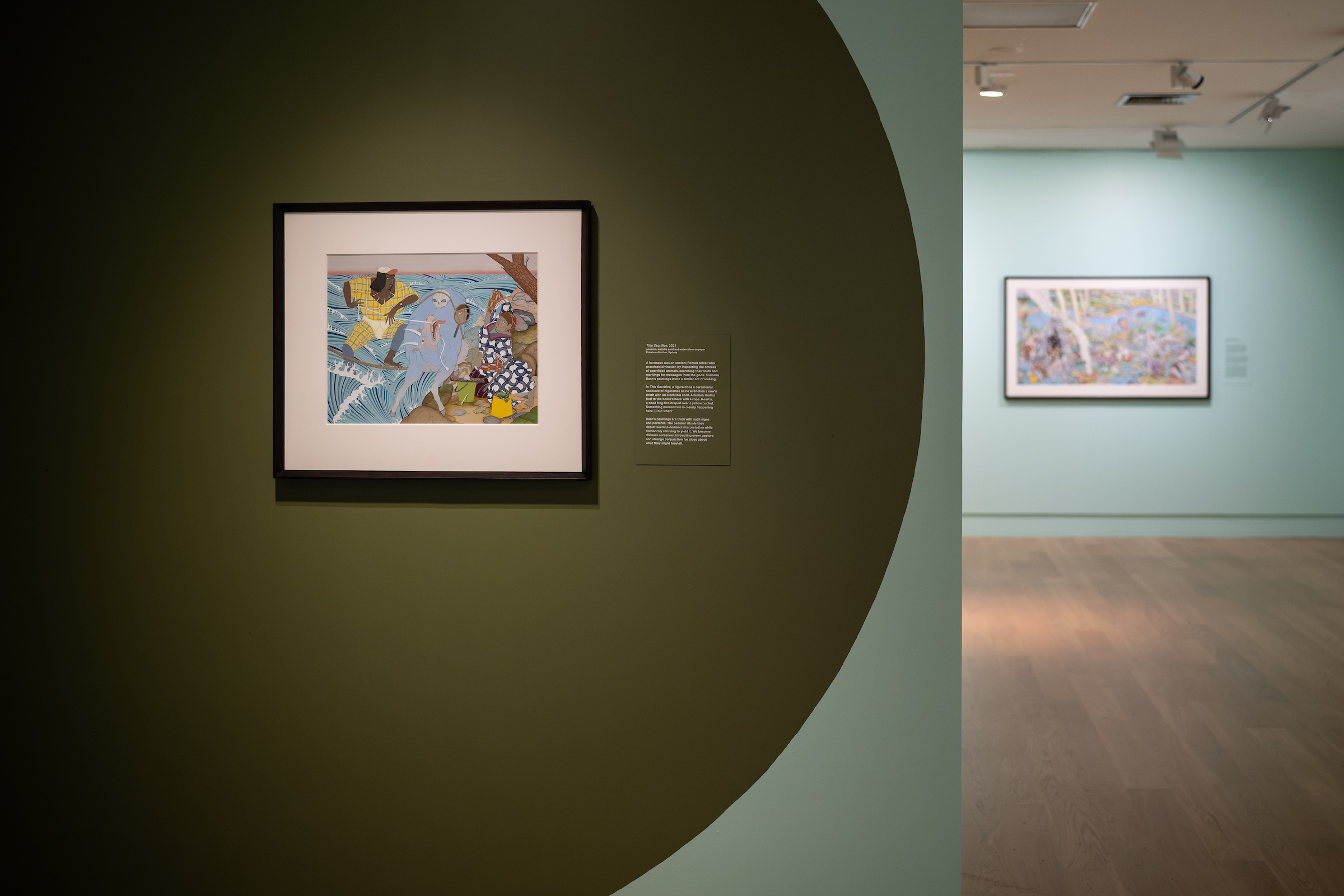 Install view of Kushana Bush: Pobblebonk at The Dowse Art Museum, 2026.